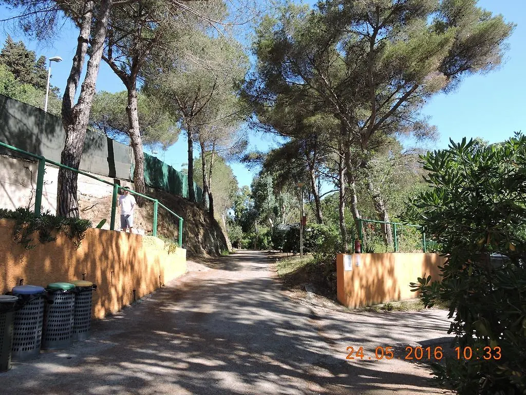 Campeggio Hotel Camping Reale Porto Azzurro Italia